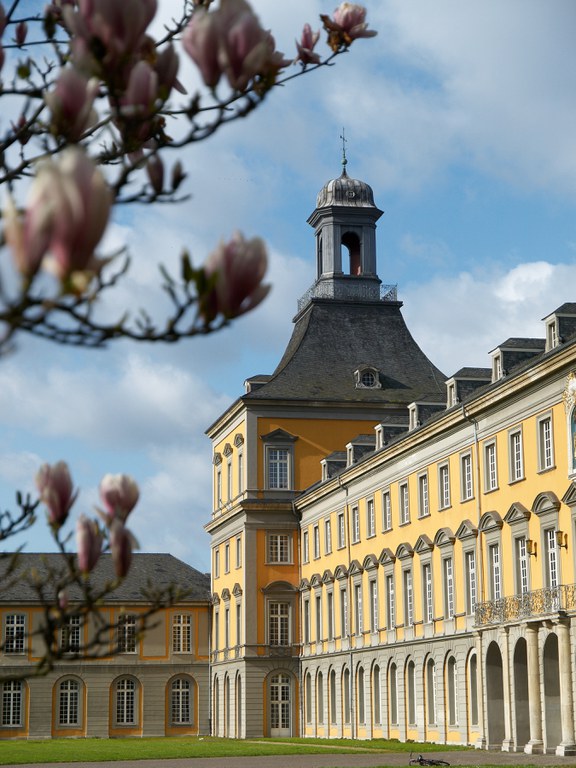 Universität Bonn_copyright_Frank Luerweg_UniBonn.jpg