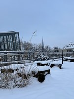 Rabinstraße im Schnee.jpg