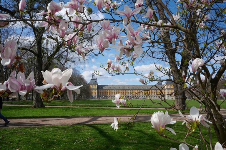 Universität Bonn